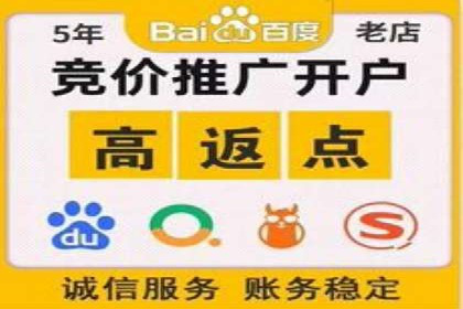 行业领先企业的SEM竞价代运营成功案例揭秘